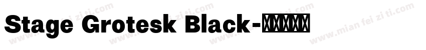 Stage Grotesk Black字体转换